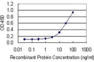 Detection limit for recombinant GST tagged MSN is 1 ng/ml as a capture antibody.