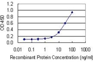 Detection limit for recombinant GST tagged MSN is 1 ng/ml as a capture antibody. (Moesin anticorps  (AA 422-531))