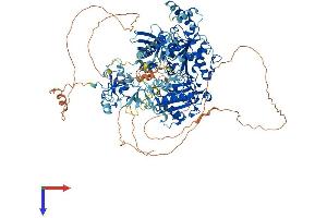 AlphaFold protein structure predicition of Mouse Recombinant Upf1 Protein, UniprotID Q9EPU0