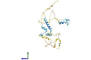 AlphaFold protein structure predicition of Human Recombinant FAM110A Protein, UniprotID Q9BQ89