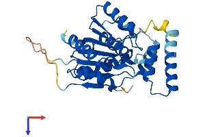 AlphaFold protein structure predicition of Mouse Recombinant Tmem53 Protein, UniprotID Q9D0Z3