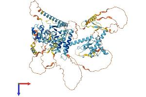 AlphaFold protein structure predicition of Human Recombinant CHTF18 Protein, UniprotID Q8WVB6