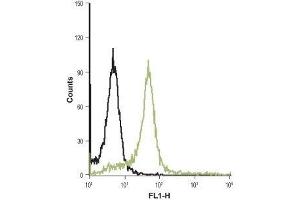 Cell surface detection of PAR-4 in live intact HL-60 (human promyelocytic leukemia) cell line: (black line) Unstained cells.