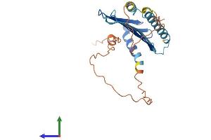 AlphaFold protein structure predicition of Mouse Recombinant Mlf1 Protein, UniprotID Q9QWV4