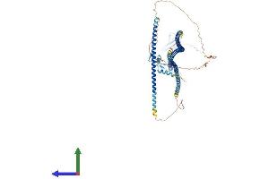 AlphaFold protein structure predicition of Human Recombinant TAX1BP1 Protein, UniprotID Q86VP1