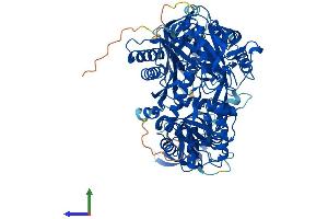 AlphaFold protein structure predicition of Mouse Recombinant Ago3 Protein, UniprotID Q8CJF9