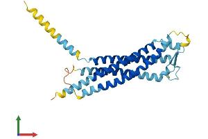 AlphaFold protein structure predicition of Human Recombinant GPM6B Protein, UniprotID Q13491