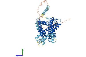 AlphaFold protein structure predicition of Human Recombinant SOAT2 Protein, UniprotID O75908