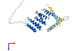 AlphaFold protein structure predicition of Mouse Recombinant Pex26 Protein, UniprotID Q8BGI5