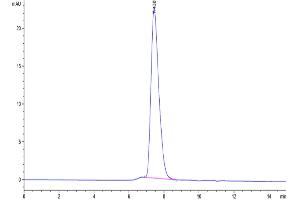 The purity of Human KIR2DL1 is greater than 95 % as determined by SEC-HPLC.