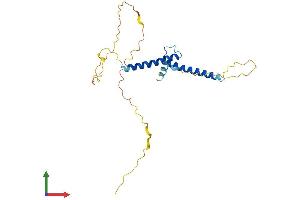 AlphaFold protein structure predicition of Mouse Recombinant Ascl1 Protein, UniprotID Q02067