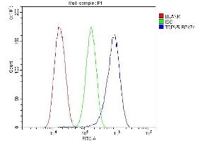 Flow Cytometry analysis of U87 cells using anti-TRPV5 antibody (ABIN7600034).