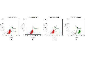 Adenosine A2a Receptor (ADORA2A) protein