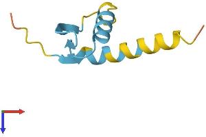 AlphaFold protein structure predicition of Mouse Recombinant Gtf2h5 Protein, UniprotID Q8K2X8