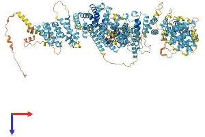 AlphaFold protein structure predicition of Human Recombinant FANCA Protein, UniprotID O15360