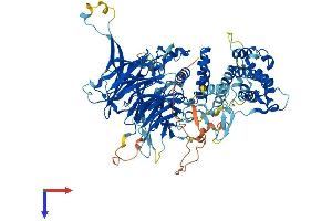 AlphaFold protein structure predicition of Human Recombinant MED16 Protein, UniprotID Q9Y2X0