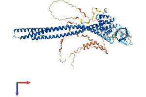 AlphaFold protein structure predicition of Human Recombinant OPHN1 Protein, UniprotID O60890