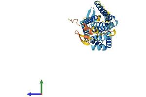 AlphaFold protein structure predicition of Mouse Recombinant Gpr160 Protein, UniprotID Q3U3F9