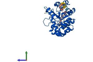 AlphaFold protein structure predicition of Mouse Recombinant Tatdn3 Protein, UniprotID Q3U1C6