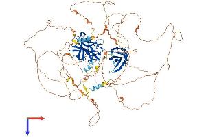 AlphaFold protein structure predicition of Human Recombinant NFATC1 Protein, UniprotID O95644