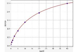 Typical standard curve (IRS2 Kit ELISA)