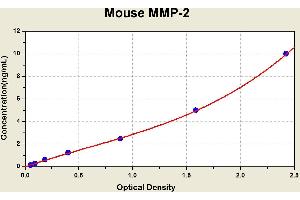 Diagramm of the ELISA kit to detect Mouse MMP-2with the optical density on the x-axis and the concentration on the y-axis.
