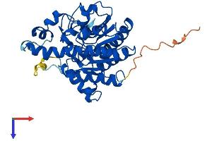 AlphaFold protein structure predicition of Mouse Recombinant Hdac11 Protein, UniprotID Q91WA3