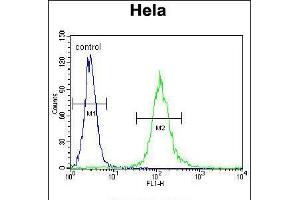 Flow cytometric analysis of Hela cells (right histogram) compared to a negative control cell (left histogram). (Cytochrome C1 anticorps  (C-Term))