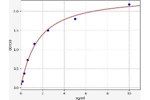 Typical standard curve (COL-13 Kit ELISA)