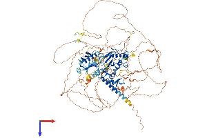 AlphaFold protein structure predicition of Mouse Recombinant Senp6 Protein, UniprotID Q6P7W0