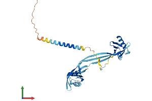 AlphaFold protein structure predicition of Human Recombinant NMI Protein, UniprotID Q13287