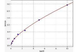 Typical standard curve (DUOX2 Kit ELISA)