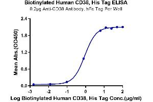 Immobilized Anti-CD38 Antibody, hFc Tag at 2 μg/mL (100 μL/Well) on the plate. (CD38 Protein (AA 43-300) (His-Avi Tag,Biotin))