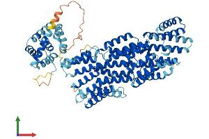 AlphaFold protein structure predicition of Mouse Recombinant Anapc5 Protein, UniprotID Q8BTZ4