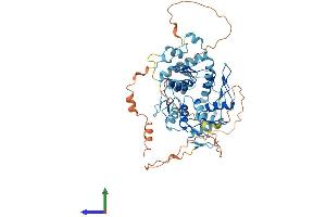 AlphaFold protein structure predicition of Human Recombinant ZNF34 Protein, UniprotID Q8IZ26