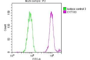 Overlay histogram showing Hela cells stained with ABIN7127450 (red line) at 1:50.