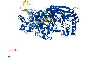 AlphaFold protein structure predicition of Human Recombinant POLE2 Protein, UniprotID P56282