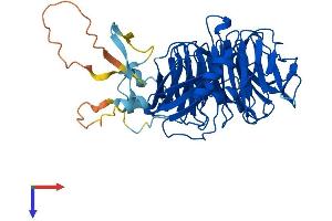 AlphaFold protein structure predicition of Mouse Recombinant Grwd1 Protein, UniprotID Q810D6
