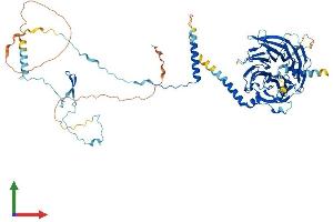 AlphaFold protein structure predicition of Human Recombinant DNAI1 Protein, UniprotID Q9UI46