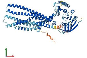 AlphaFold protein structure predicition of Human Recombinant ABCD4 Protein, UniprotID O14678