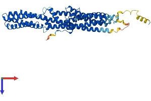 AlphaFold protein structure predicition of Mouse Recombinant Ttyh1 Protein, UniprotID Q9D3A9