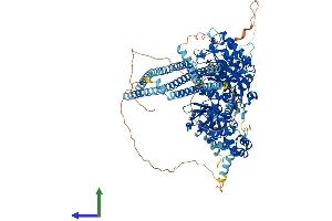 AlphaFold protein structure predicition of Mouse Recombinant Plcb2 Protein, UniprotID A3KGF7