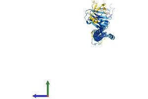 AlphaFold protein structure predicition of Human Recombinant TRIM64B Protein, UniprotID A6NI03