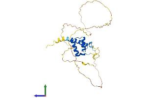 AlphaFold protein structure predicition of Mouse Recombinant Hoxb5 Protein, UniprotID P09079