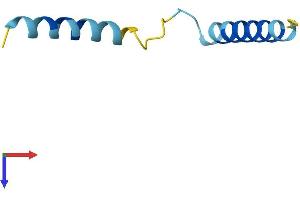 AlphaFold protein structure predicition of Human Recombinant SERF2 Protein, UniprotID P84101