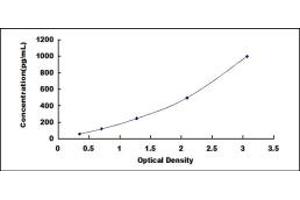 Typical standard curve (FAM3A Kit ELISA)