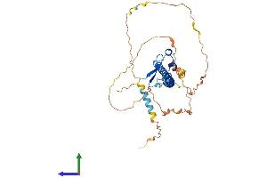 AlphaFold protein structure predicition of Mouse Recombinant Nfe2 Protein, UniprotID Q07279