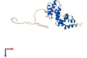 AlphaFold protein structure predicition of Human Recombinant RGS17 Protein, UniprotID Q9UGC6