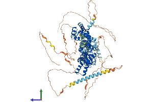 AlphaFold protein structure predicition of Mouse Recombinant Hcn1 Protein, UniprotID O88704