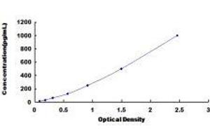 Interferon, alpha 4 (IFNa4) ELISA Kit